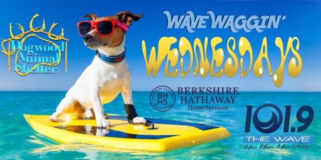 wave waggin wednesday sponsored by berkshire hathaway