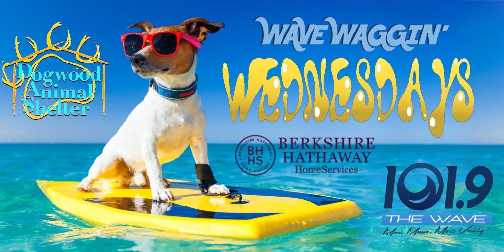 wave waggin wednesday berkshire hathaway