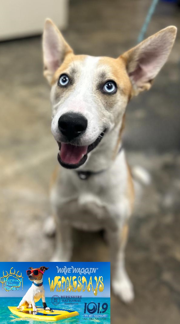 tucker