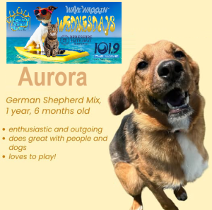 aurora