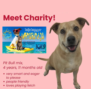 charity