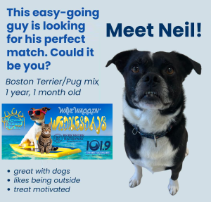 neil