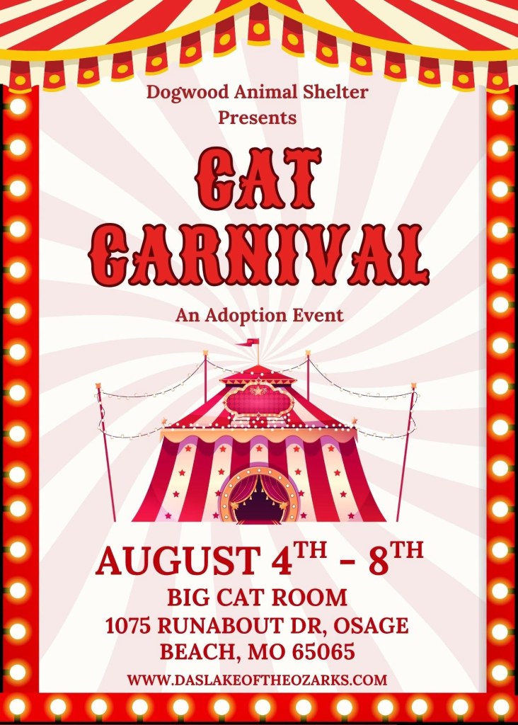 cat carnival