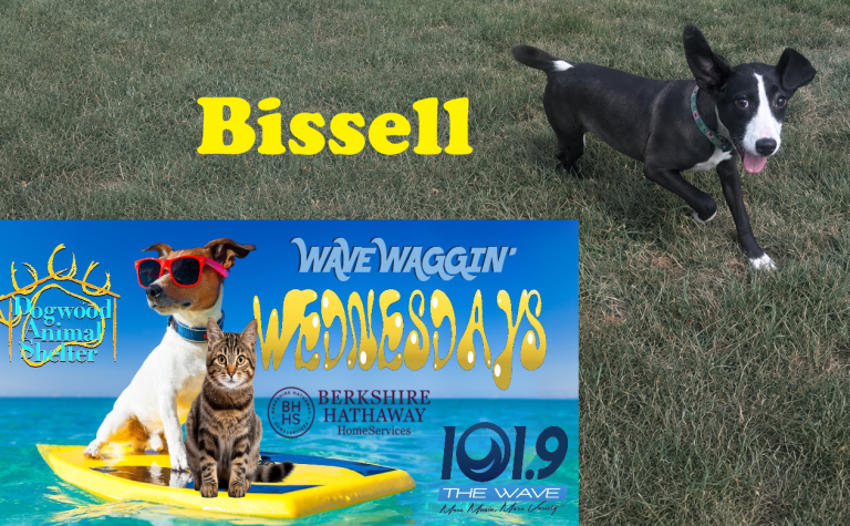 bissell