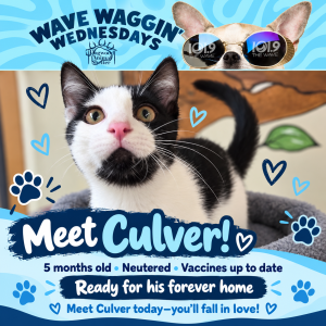 culver