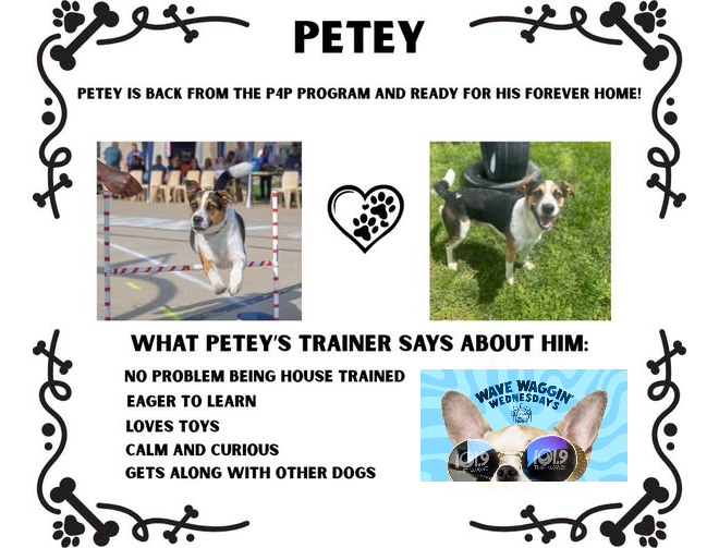 petey